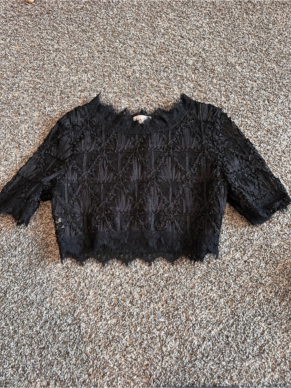 Black Lace Short Sleeve Crop Top